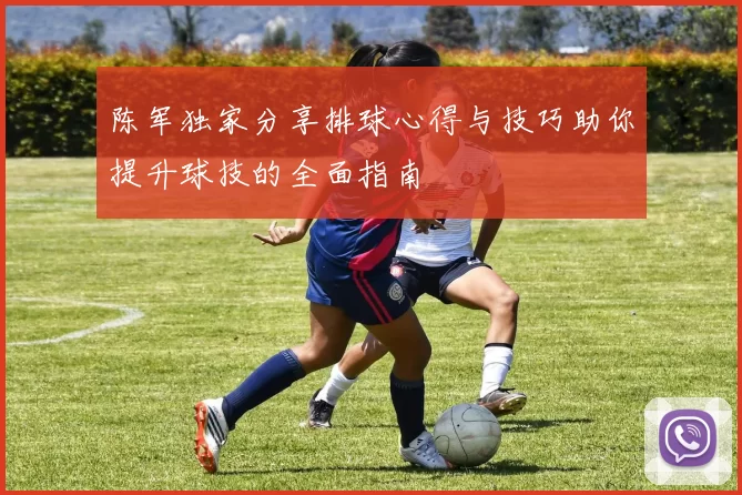 陈军独家分享排球心得与技巧助你提升球技的全面指南
