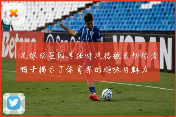 足球明星因其独特风格被亲切称为鸭子揭示了体育界的趣味与魅力