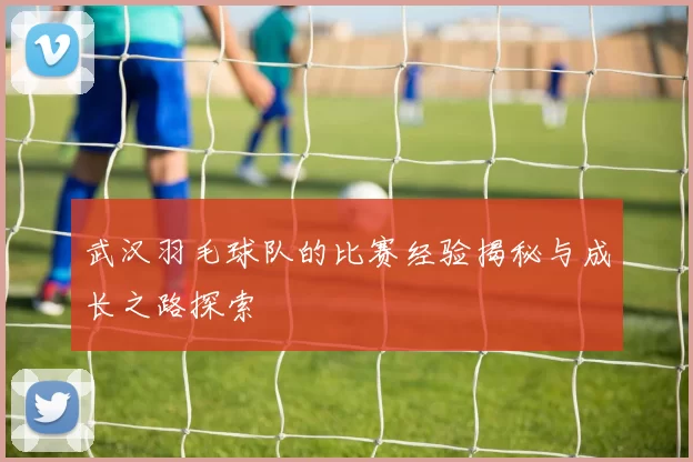 武汉羽毛球队的比赛经验揭秘与成长之路探索
