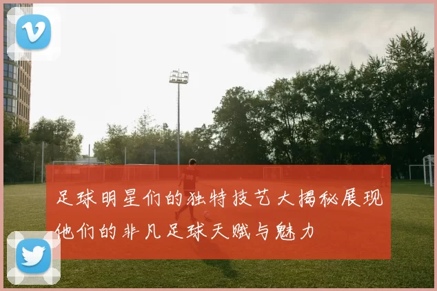 足球明星们的独特技艺大揭秘展现他们的非凡足球天赋与魅力
