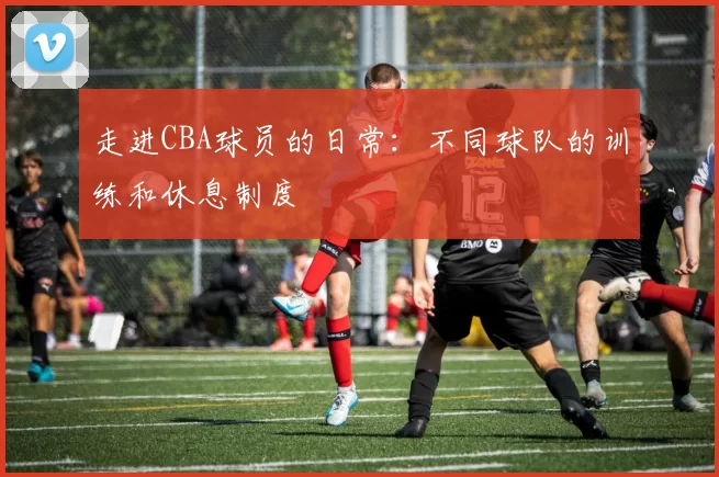 走进CBA球员的日常：不同球队的训练和休息制度