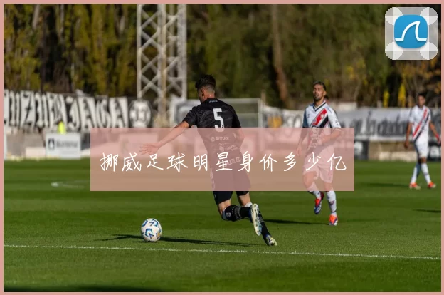 挪威足球明星身价多少亿