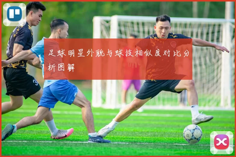 足球明星外貌与球技相似度对比分析图解