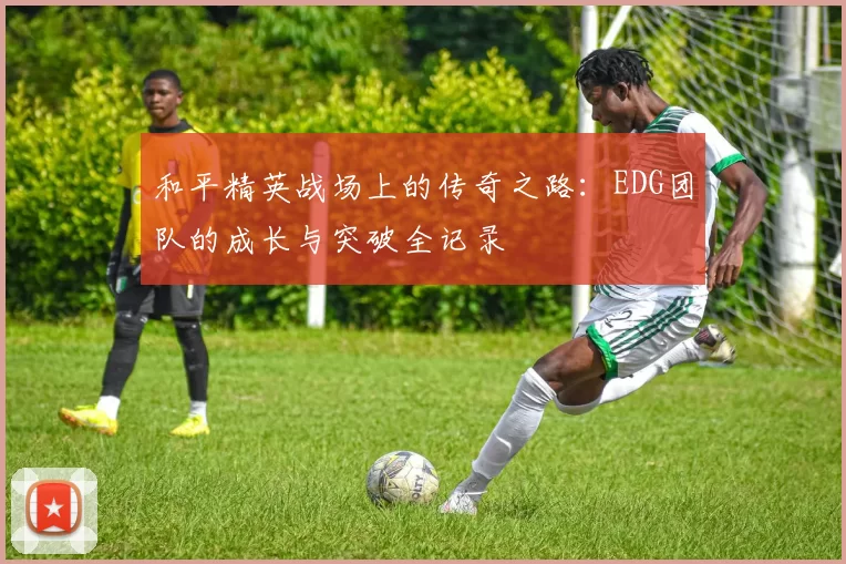 和平精英战场上的传奇之路：EDG团队的成长与突破全记录
