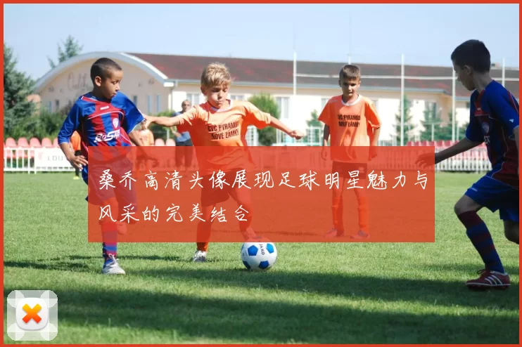 桑乔高清头像展现足球明星魅力与风采的完美结合