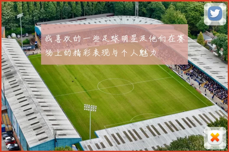 我喜欢的一些足球明星及他们在赛场上的精彩表现与个人魅力