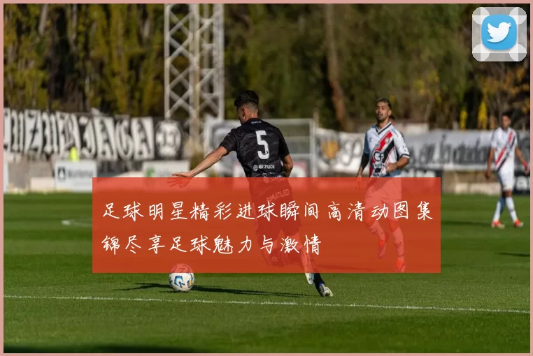 足球明星精彩进球瞬间高清动图集锦尽享足球魅力与激情
