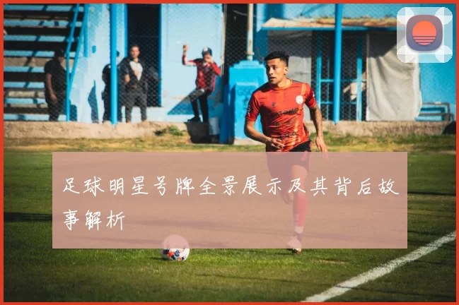 足球明星号牌全景展示及其背后故事解析