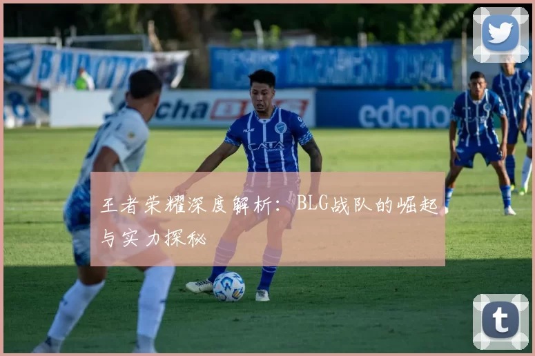 王者荣耀深度解析：BLG战队的崛起与实力探秘