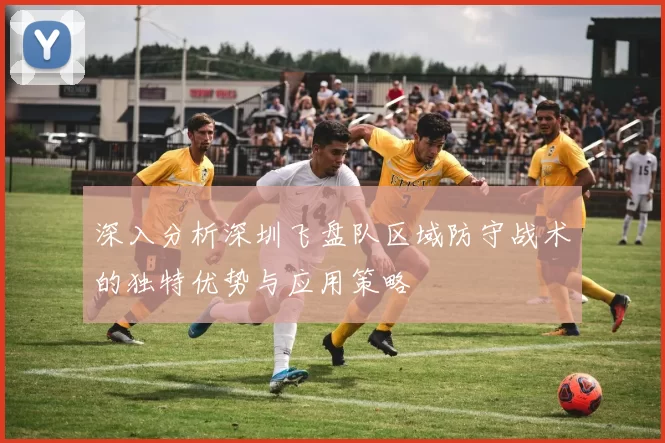 深入分析深圳飞盘队区域防守战术的独特优势与应用策略