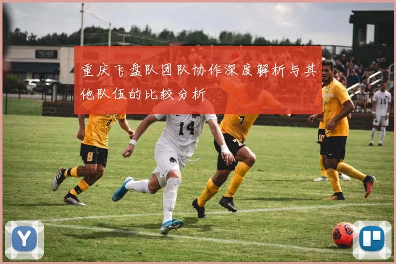 重庆飞盘队团队协作深度解析与其他队伍的比较分析