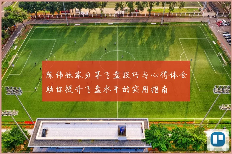 陈伟独家分享飞盘技巧与心得体会助你提升飞盘水平的实用指南