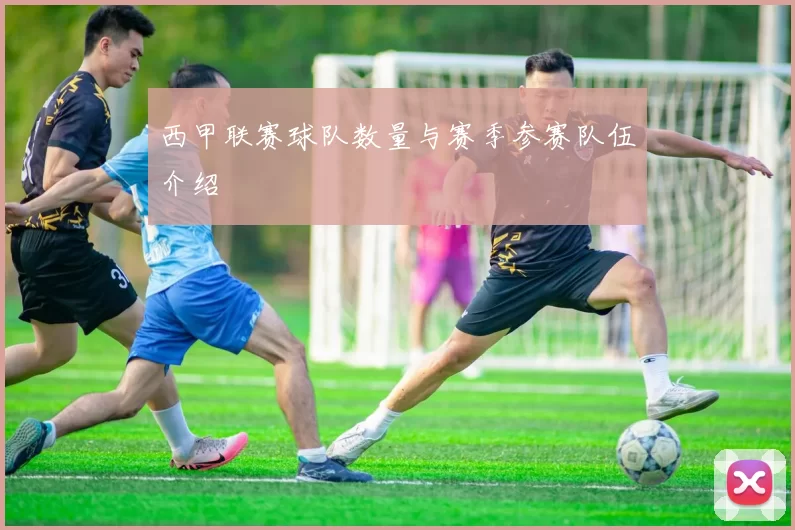 西甲联赛球队数量与赛季参赛队伍介绍