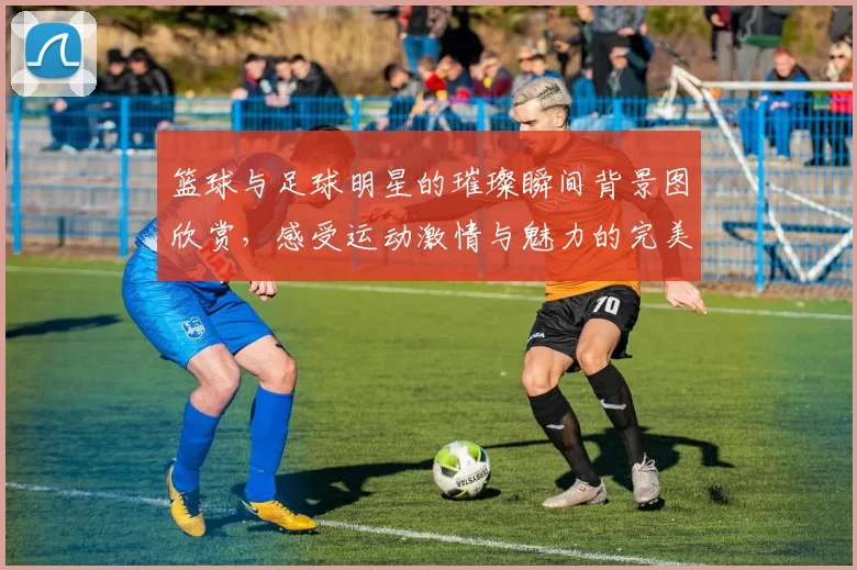 篮球与足球明星的璀璨瞬间背景图欣赏，感受运动激情与魅力的完美结合