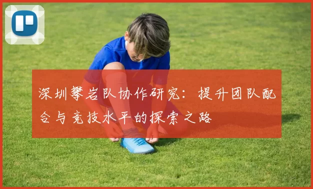 深圳攀岩队协作研究：提升团队配合与竞技水平的探索之路